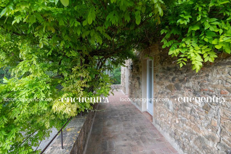 The White Frog 23-if630-24d-090.JPG