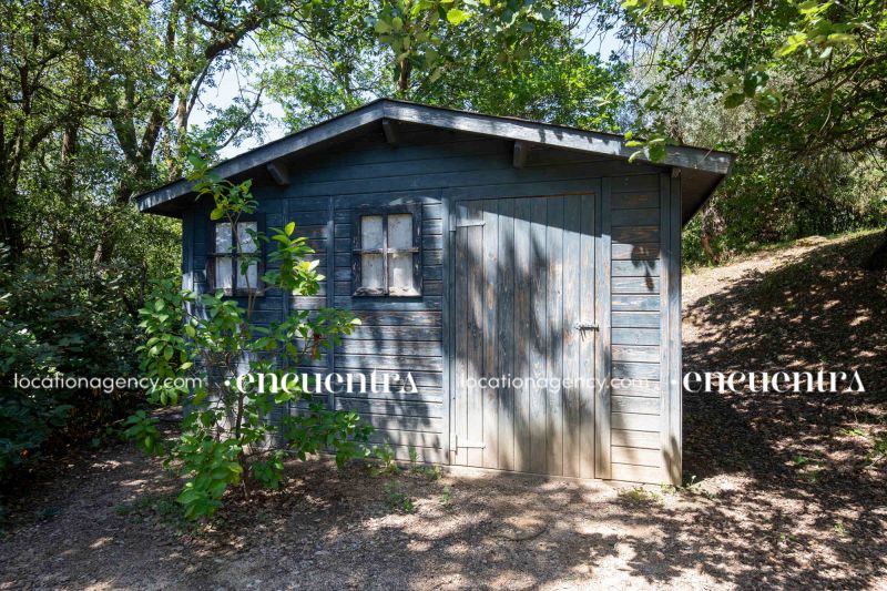 Water lillies 31-hf270z-24f-022.JPG