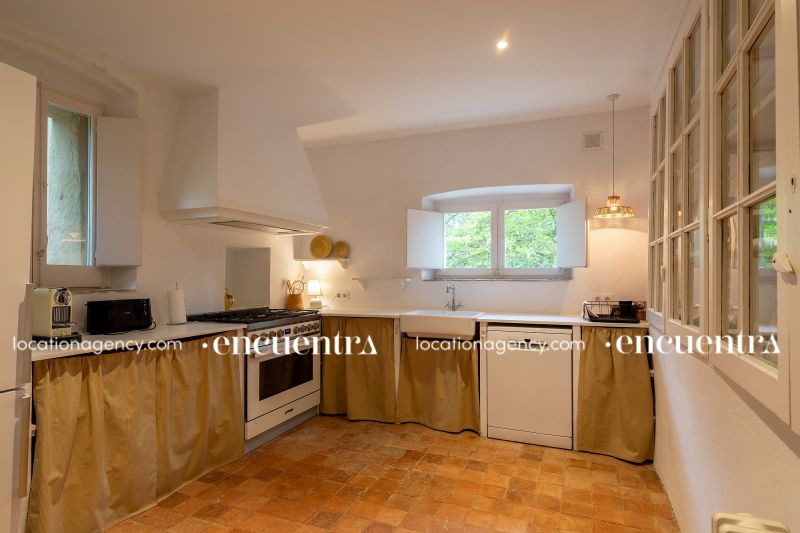 The White Frog 11-if630-24d-052.JPG