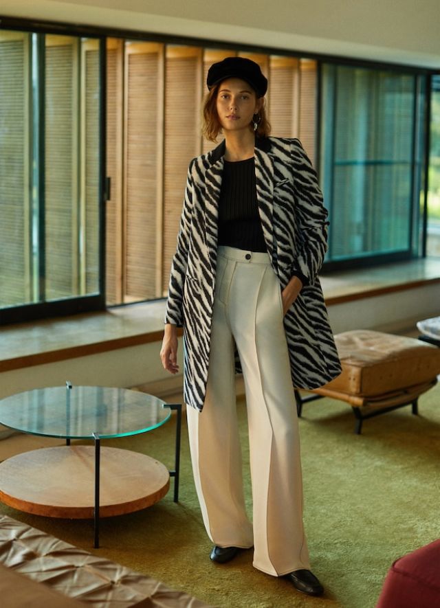  04-1183-new-noe-zebra-en-la-ricarda.JPG  