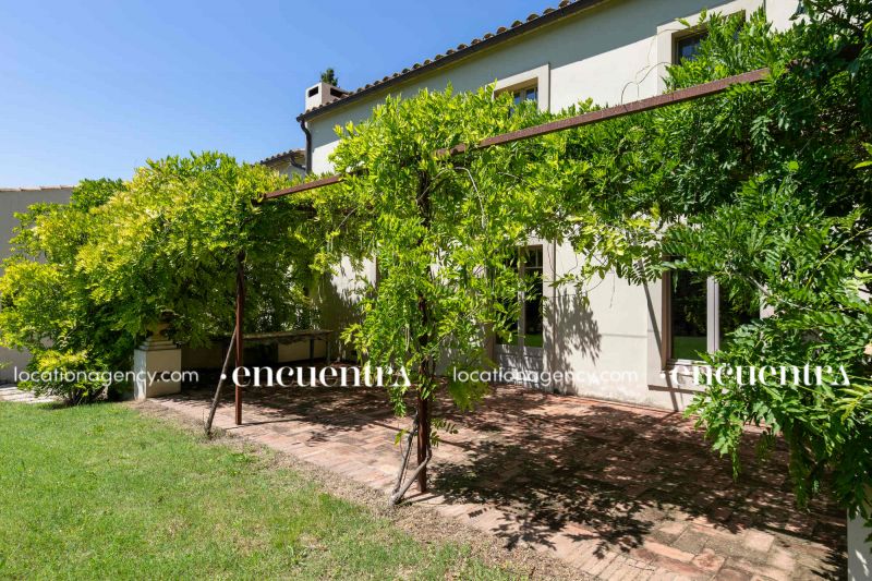 Water lillies 5-hf270z-24f-029-1.JPG