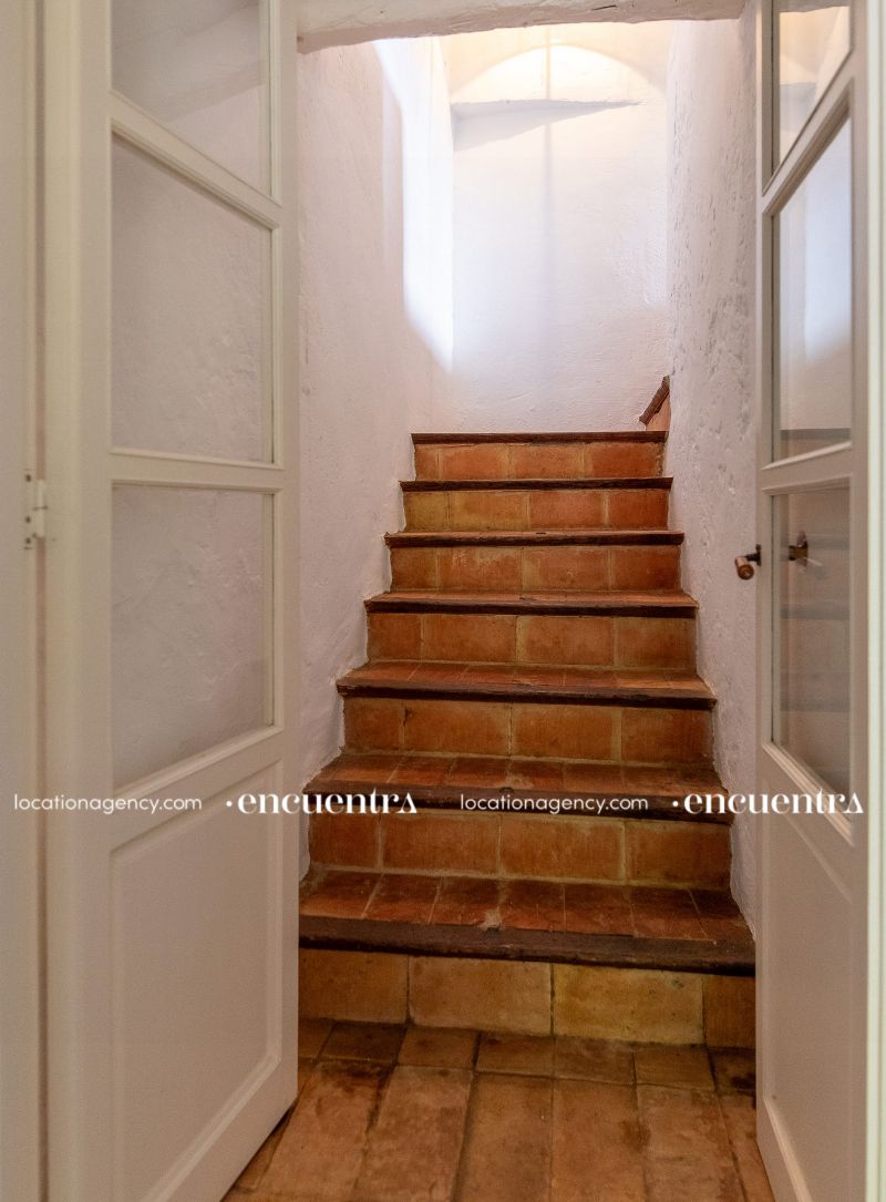 The White Frog 12-if630-24d-057.JPG