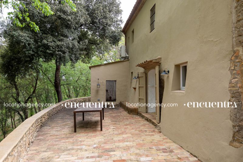 The White Frog 26-if630-24d-094.JPG