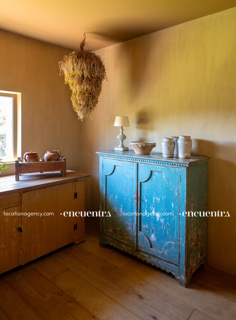 Water lillies 12-hf270z-24f-081-1.JPG