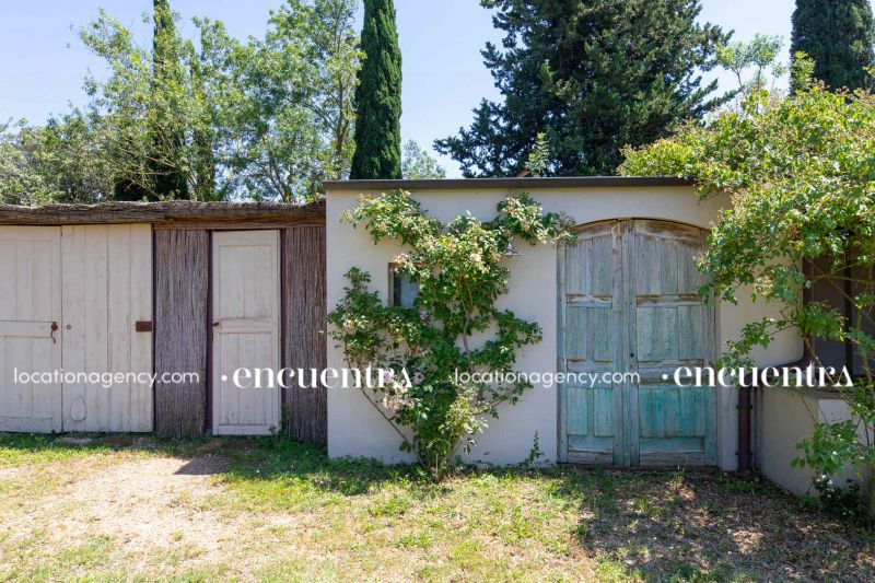 Water lillies 29-hf270z-24f-006.JPG