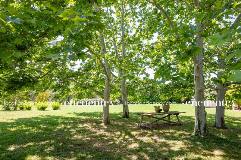 Water lillies 1-hf270z-24f-012-1.JPG