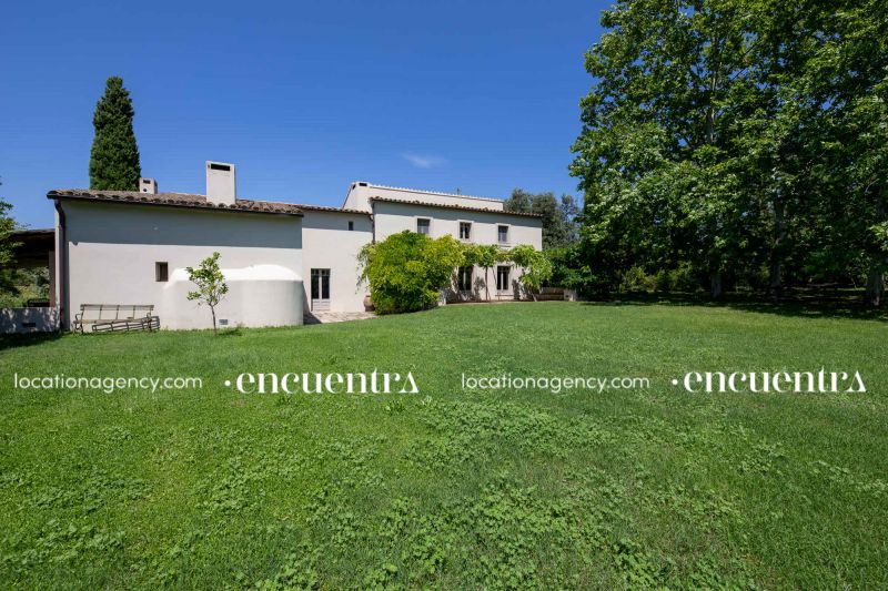 Water lillies 3-hf270z-24f-023-1.JPG