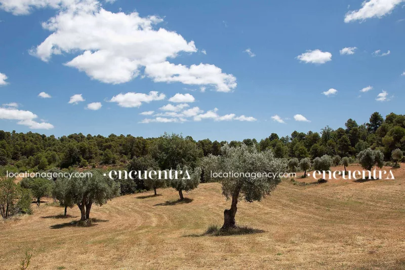 Circled 023-hi002-house-without-limits-nature-view-landscape-mountains-views-paisajes-olivos-entorno.JPG