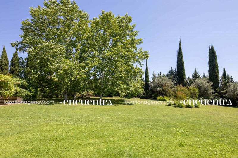 Water lillies 2-hf270z-24f-009-1.JPG